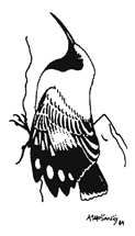 LOGO-aplikovana-ornitologia logo